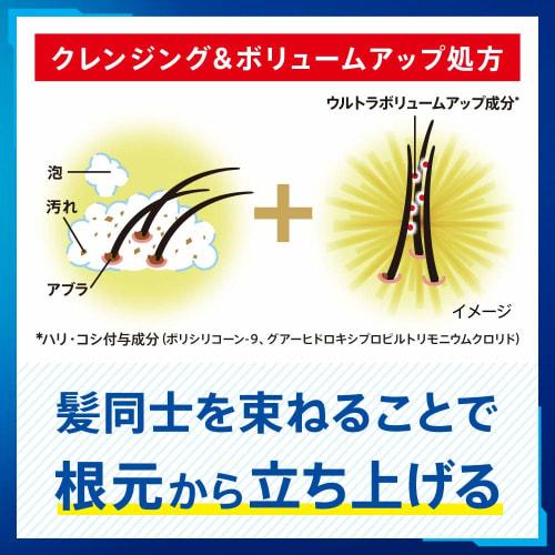 SUCCESS Shampoo Volume Up Type Replacement 280ml