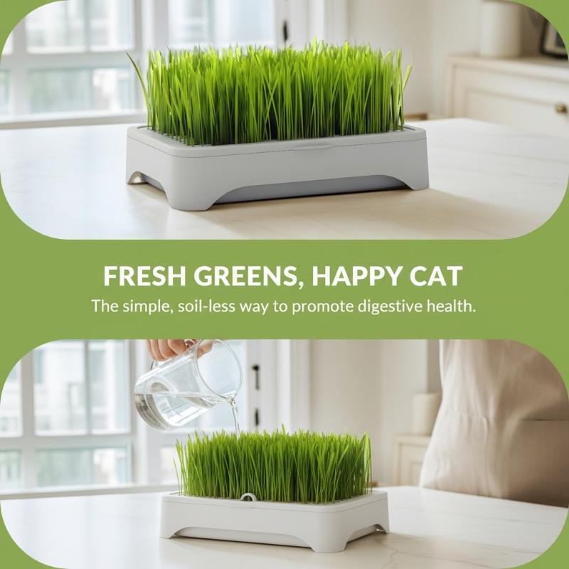 Soilless Wheat Grass Seedling Pot Kit for Cats Indoor Planting Pet-Friendly Design