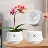 Для пересадки Пластиковый горшок Комнатные-Уличные растения Домашний Декоративный Горшок для воздушных растений Сетчатый горшок Горшки для орхидей с отверстиями Цветочный горшок