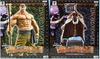 One Piece DXF THE GRANDLINE MEN SPECIAL Whitebeard ONE PIECE Anime Figure Prize Banpresto (Full Set of 2)