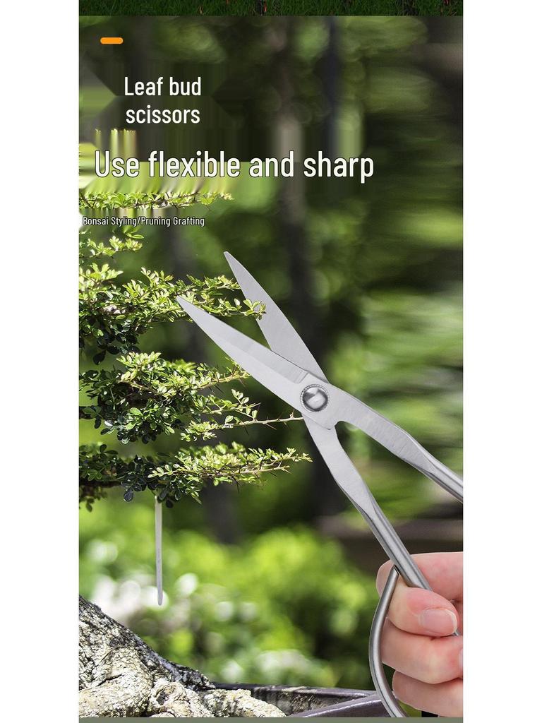 Bonsai Shaping Tools: Round & Oblique Mouth Shears, Ball Joint Pliers, Gardening Flower Pruners, Tree Burl Pruners.