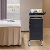 Salon Trolley with Handle and Rolling Wheels, 5 Drawers and 2 Hair Dryer Holder Side Tray, Professional Barber Luxury Spa Chair