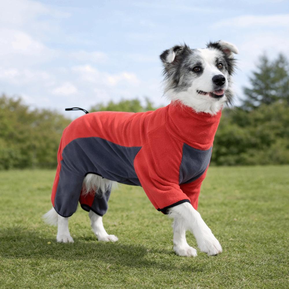 High-Neck Fleece Dog Clothes Windproof Dog Jackets Winter Dog Jumpsuit Medium Large Dogs