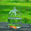 Hydroponic Wall Hanging Bubble Aquarium Fish Glass Diy Pot Vase Plant Home Decor