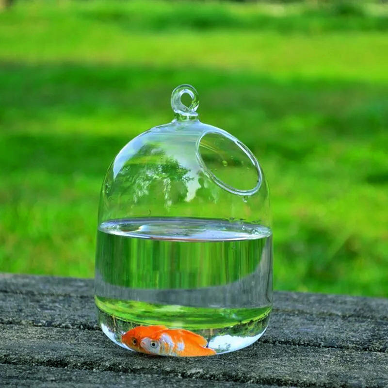 Hydroponic Wall Hanging Bubble Aquarium Fish Glass Diy Pot Vase Plant Home Decor