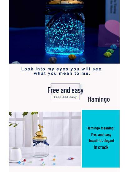 Luminous Glow-in-the-Dark Star Bottle Ornament - Creative Gift for Birthdays or Valentine's Day