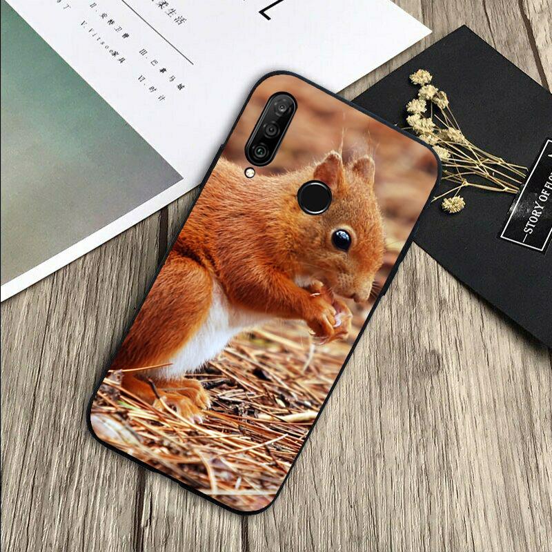 Squirrel Cute Animals For Huawei Nova 5T 9 10 SE 7i 8i 11i 12i Y73 Y90 Y70 Y72 Y61 Y91 P60 Pro P40 P30 Lite Case