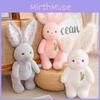 Кролик Энни Плюшевая игрушка Мягкая кукла Мультяшный Декор комнаты Подарки Дети