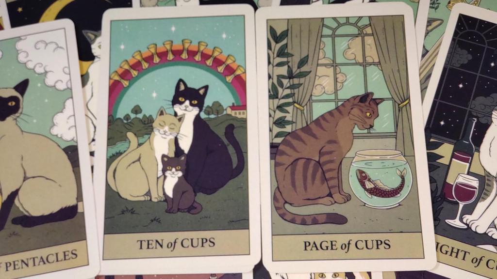 78 Иллюстраций Кошек Карты Таро Гадание [AZAASU]