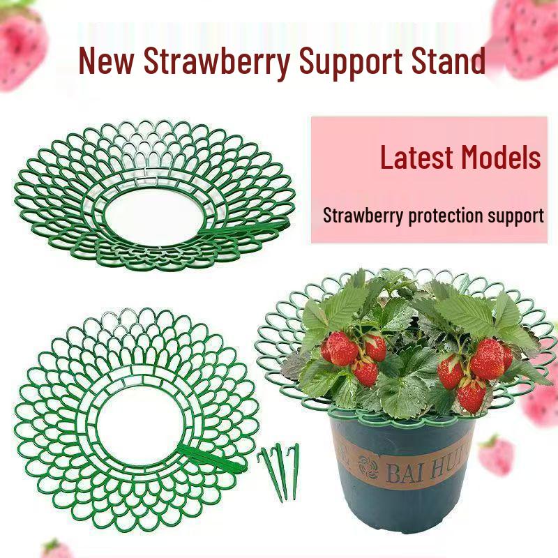 New Strawberry Stand: Home & Balcony Planting, Anti-Rot Tray for Gardening