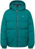 Winter Jacket Tommy Hilfiger TJM Essential Down Jacket (DM0DM15447)