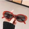 Small Oval Cat Eye Sunglasses For Women Vintage Brand Designer Sun Glasses Female Trendy Eyewear Uv400 Men Shades