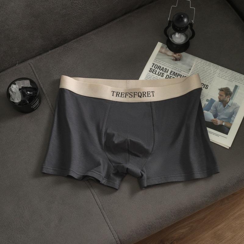 Men's Cotton Underwear Letters Simple Breathable Panties Knickers Men's Boxer Briefs Boxer Briefs Underpants