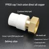 PPR Water Heater Union Pre-Filter Connector: 25 To 1 Inch, 4-6 Points, 32 Straight Elbow, Copper Water Pipe Fittings