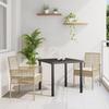 vidaXL Garden Chairs 2 Pcs with Cushions Beige In Poly Rattan 42003449