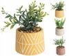 Artificial Plant in Cement Pot, Decorative