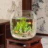 Transparent Landscape Fish Tank Ultra Clear Fish Bowl Ecological Tank  Living Room