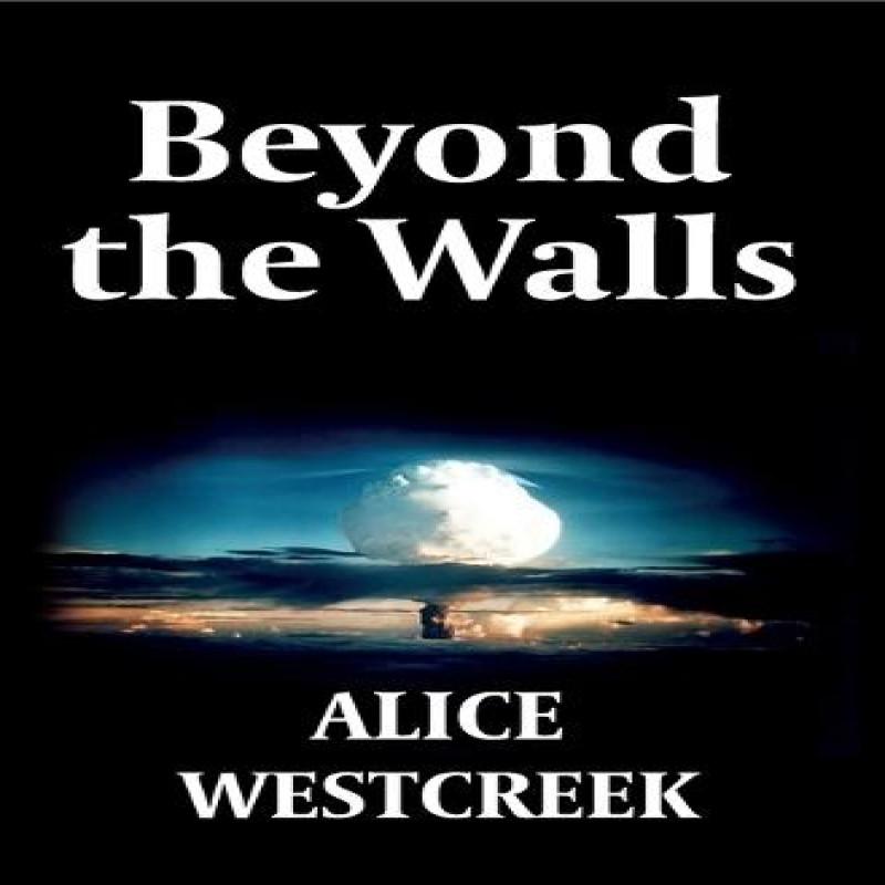 Beyond the Walls by Alice Westcreek Paperback Book 9789083009902