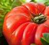 30 Marmande Tomato Seeds - Old Vegetable Garden Vegetable - Reproducible Peasant Seeds - SemiSauvage