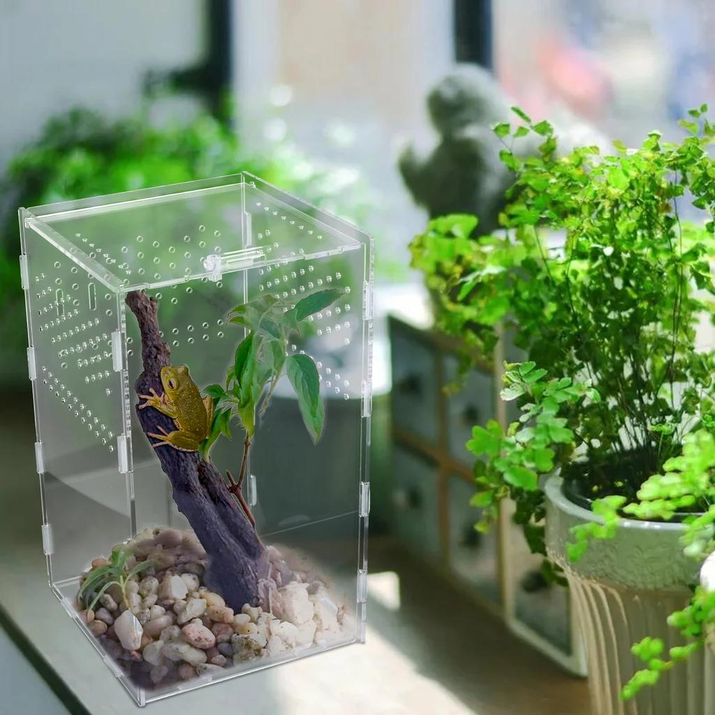 Террариум для рептилий Акриловый террариум для рептилий Среда обитания Террариум Инкубатор Прозрачный Среда обитания для пауков, скорпионов, бородатых агам