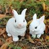 3pcs Lovely Bunny Figurines Cute Miniature Rabbit Statue Garden Decoration Animal Sculptures  Gift