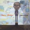CD CHRIS POTTER  Gratitude VICJ60674 universal 2001 Japan ObiJazz Used