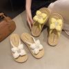 Stepping On Shit Slippers Female Summer Wear 2025 New Fairy Wind Flat-bottomed Flowers with Skirt One-word Beach Sandals