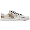 Converse Кеды Chuck Taylor All Star Pro Белые Листья 169484C