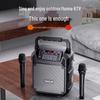 Портативная Bluetooth-караоке-колонка Newmine K511, штекер CN (адаптер в комплекте)