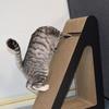 Cat Scratching Cardboard Pet Cat Scratcher Board Wear-Resistant Cat Scratch Pad Claw Grinding Posts Interactive Vertical Cat