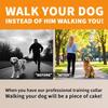 Luxury Flat Chain Design Professional Training Chain Collar, Stainless Steel Dog Training Collar, Professional Flat Chain Design, Mirror Polished