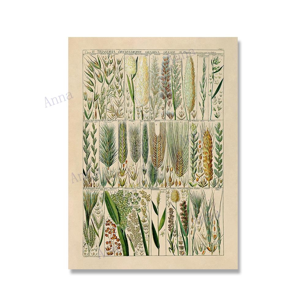 Adolphe Millot Encyclopedia Poster Fruit Botanical Mushrooms Herbs Flowers Canvas Paintings Print Vintage Wall Art Room Decor