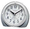RHYTHM Radio Clock Alarm Clock Electronic Sound Alarm Alarm with Light 4RL439SR04 (Just Function)