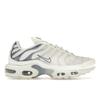 Air Max Plus Ashen Slate Women Sneakers White Summit-White Light-Armory-Blue DZ3671-104