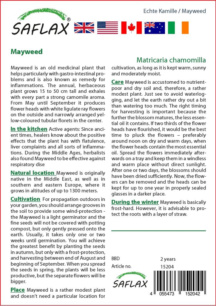 SAFLAX Garden in the Bag - Mayweed - 300 семян - С субстратом в подходящем стоячем пакете - Matricaria chamomilla