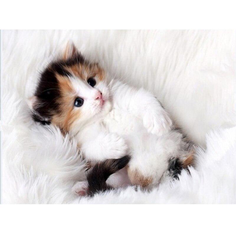 5D DIY алмазная живопись кошка Алмазная вышивка животная ферма вышивка крестиком полная круглая дрель мозаика стразы домашний декор настенный подарок