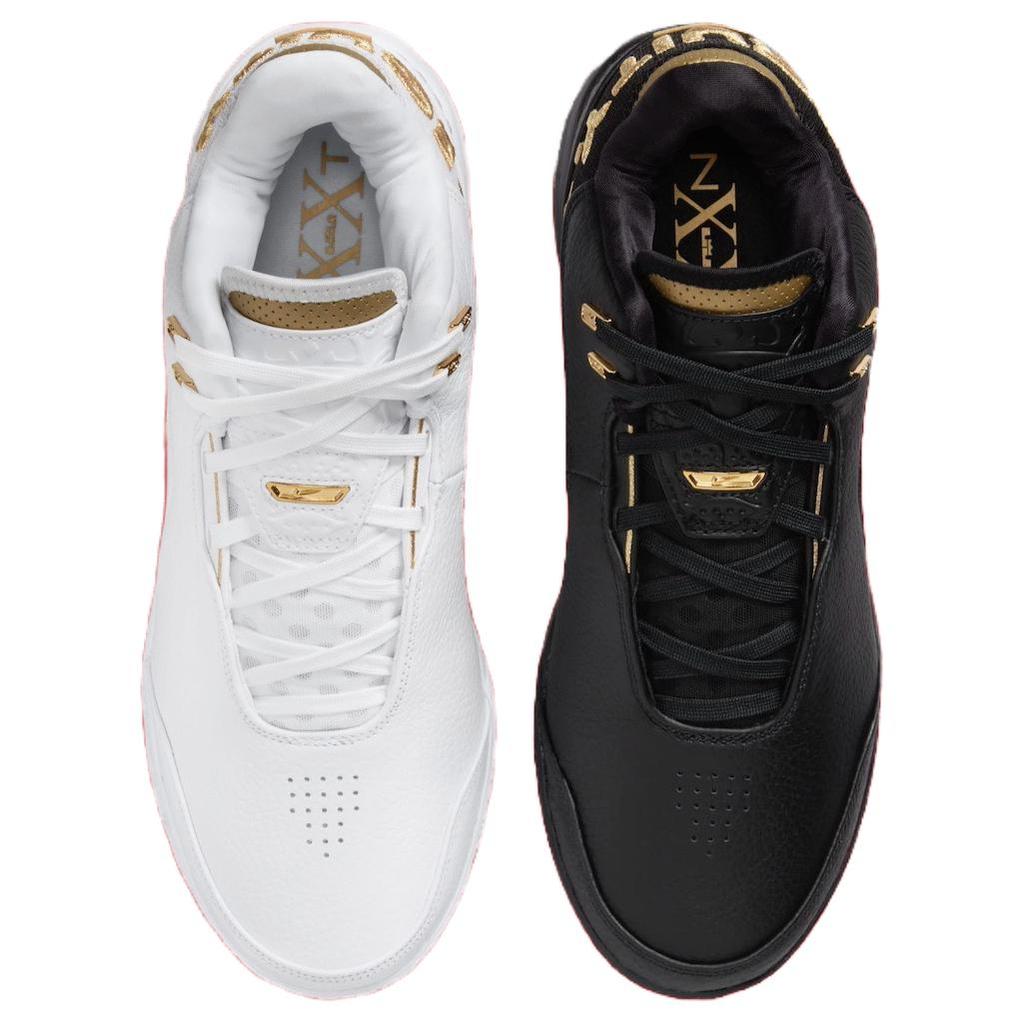 Nike Кроссовки Zoom LeBron NXXT Gen AMPD Equity мужские разноцветные белые металлик-золото FJ1566-103