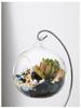 Modern Minimalist Hanging Glass Sphere with Iron Stand for Plants