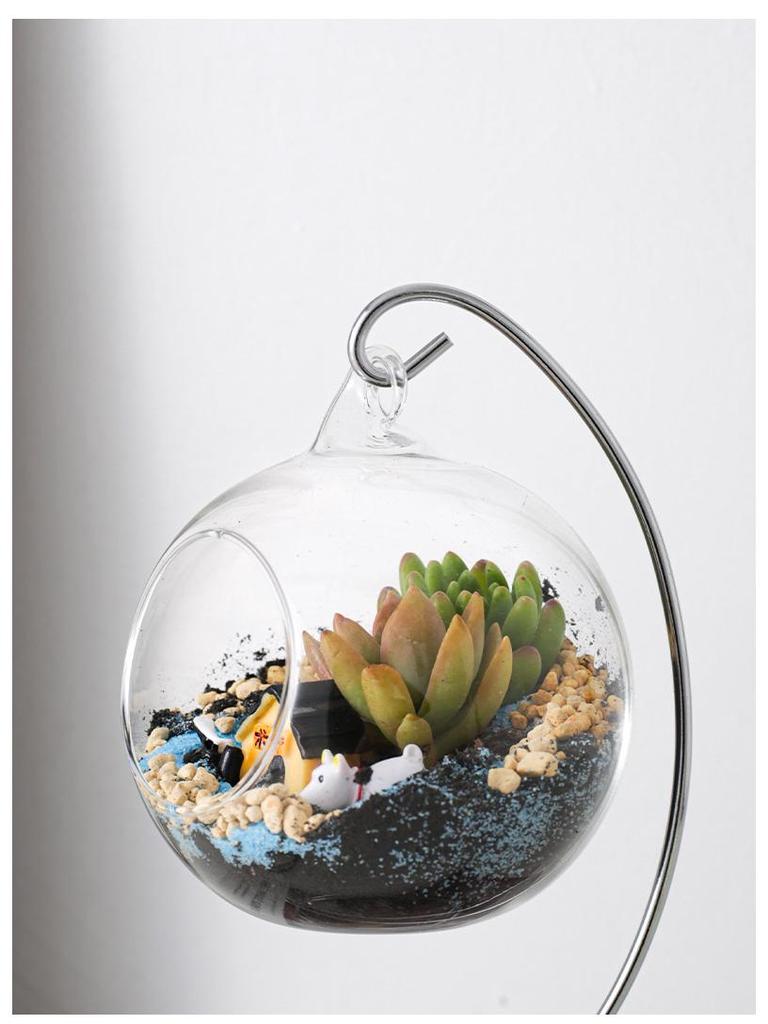 Modern Minimalist Hanging Glass Sphere with Iron Stand for Plants