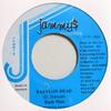 7inch Record BUSH MAN - Babylon Dead NONE JAMMYS 1998 Jamaica Reggae, Ska & Dub Used