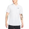 Nike Мужская белая футболка-поло Dri Fit DH0858-100