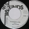7-дюймовая пластинка RAS KARBI Promised Land NONE Total Sounds Ямайка Регги Ска Даб Б/у