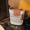 IELGY Rainbow Woven Messenger Bag Shoulder Straw Woven Vacation Beach Bucket Bag