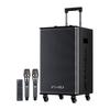 Портативная Bluetooth-колонка для караоке SANSUI E15 на колесиках, китайская вилка (адаптер в комплекте)