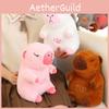 Cute And Adorable New Breathable Bear Capybara Plush Toy With Music For Kids