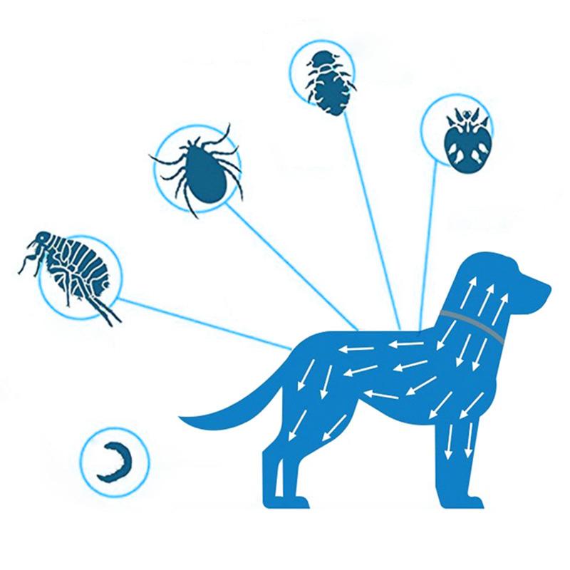 Pet Dog Anti Flea And Ticks Cats Collar Pet 8Month Protection Retractable Pet Collars For Puppy Cat Large Dogs Accessories