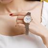 Emporio Armani Starry Sky Diamond Watch Quartz Movement Stainless Steel Band White Dial Women watches Silver AR1926-CLG