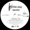 12inch Record BEENIE MAN - Hmm Hmm 094635911213 Virgin Records  2006 US Reggae, Ska & Dub Used