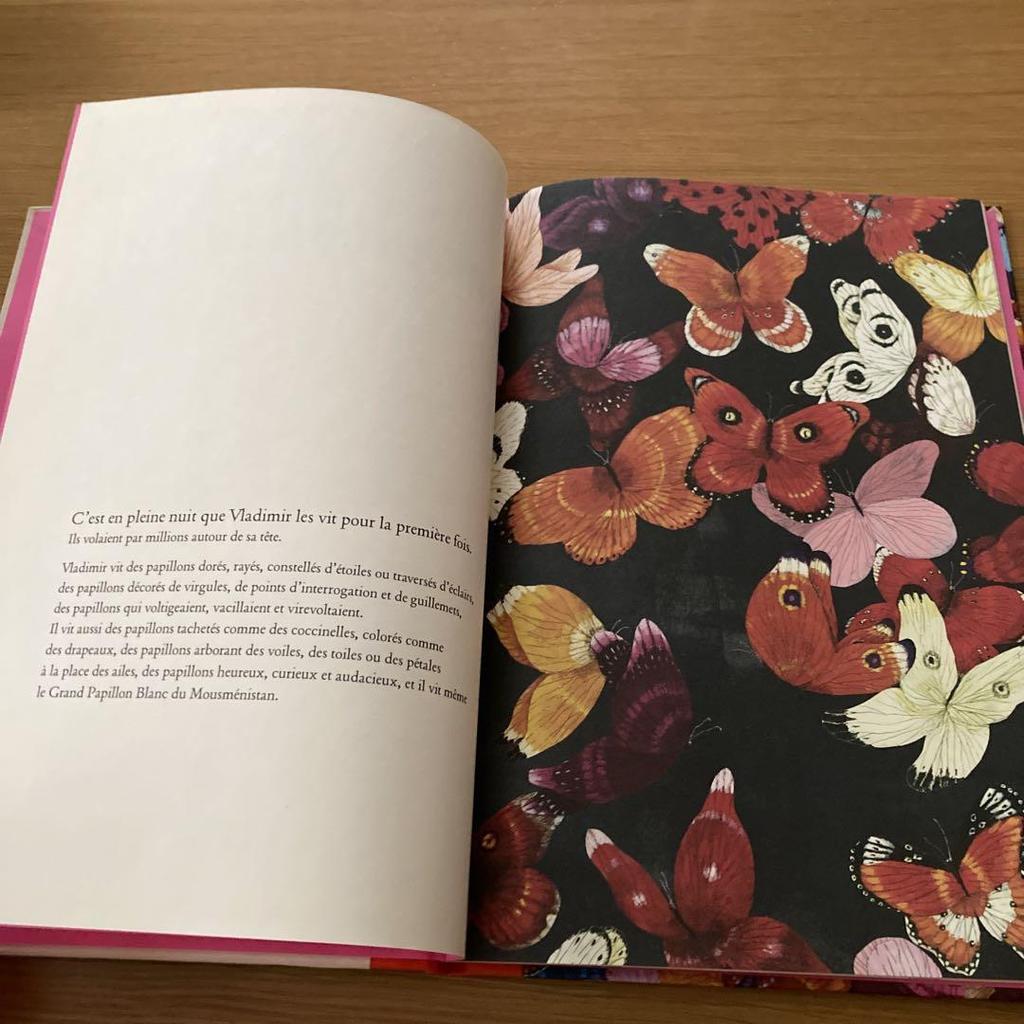 [Б/У] Французская иллюстрированная книга «Миллион бабочек»