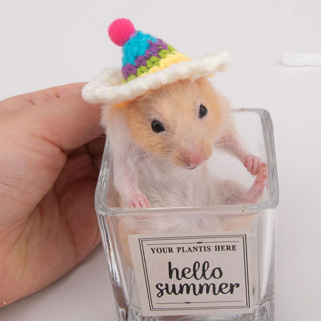 Вязаная крючком шапка-головной убор в виде морковки для хомяка, фестивальный подарок, ручная работа, реквизит для костюма, радужная шапка-морковка, головной убор